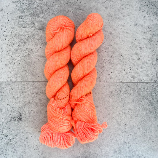 Dreamsicle on Mama Bear DK