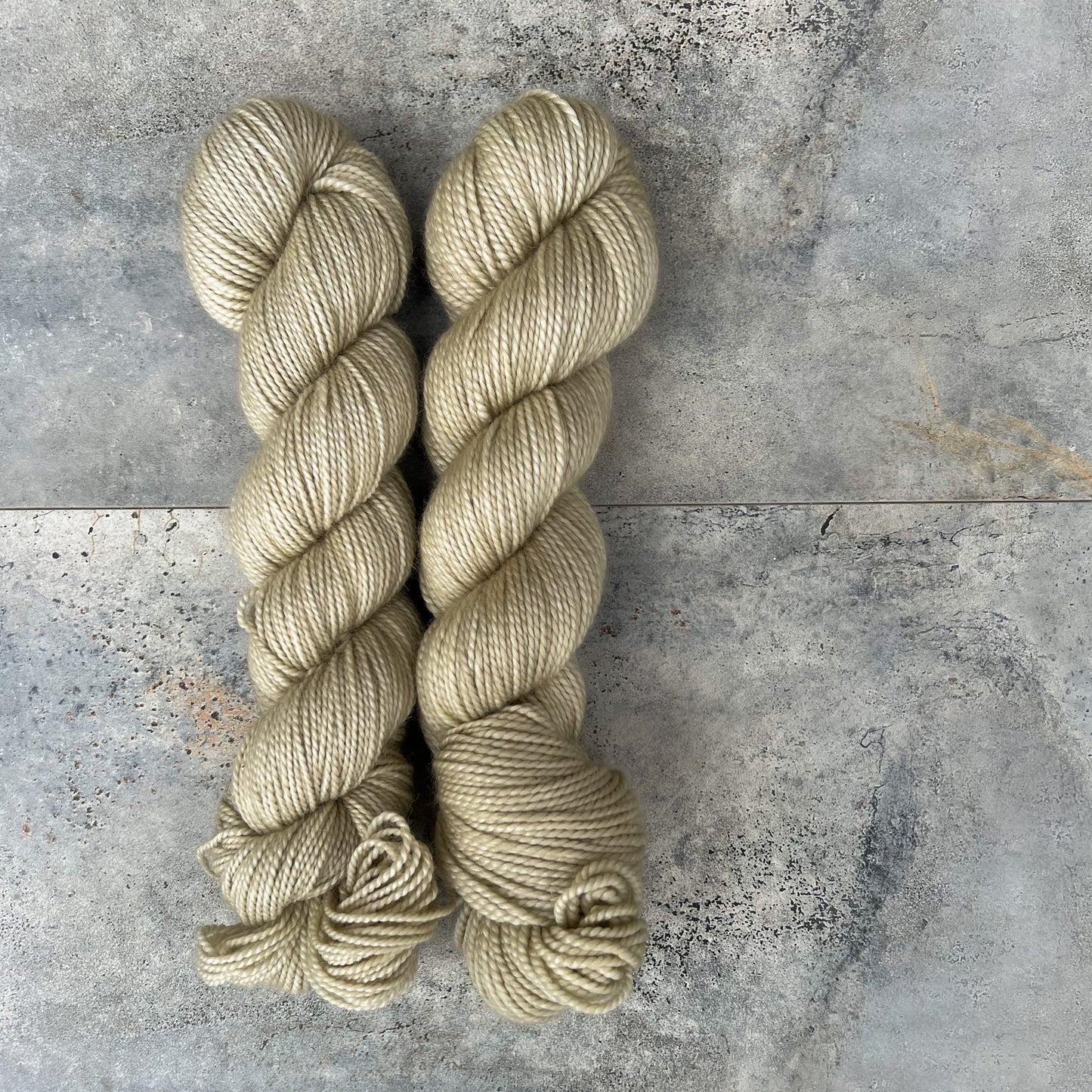 Pistachio on Mama Bear DK