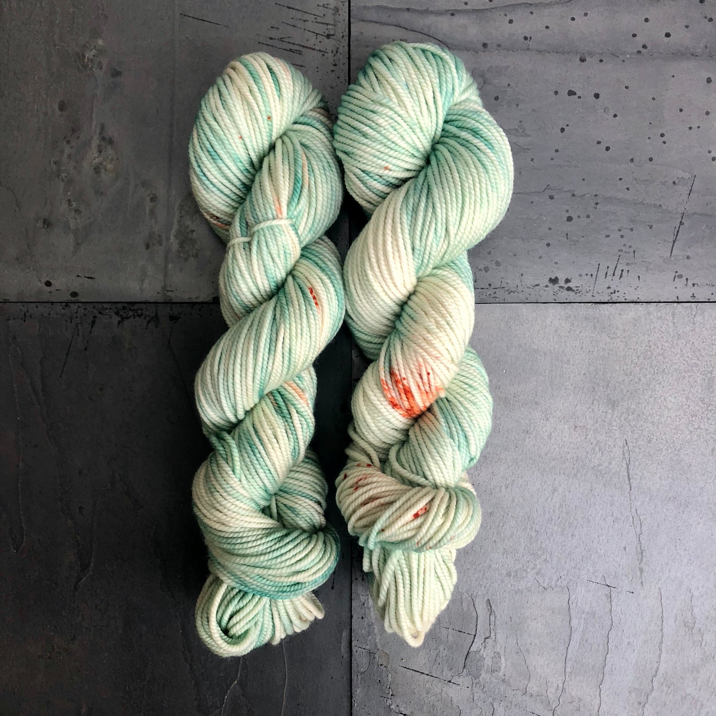 Robin's Egg on Big Brother (Aran)