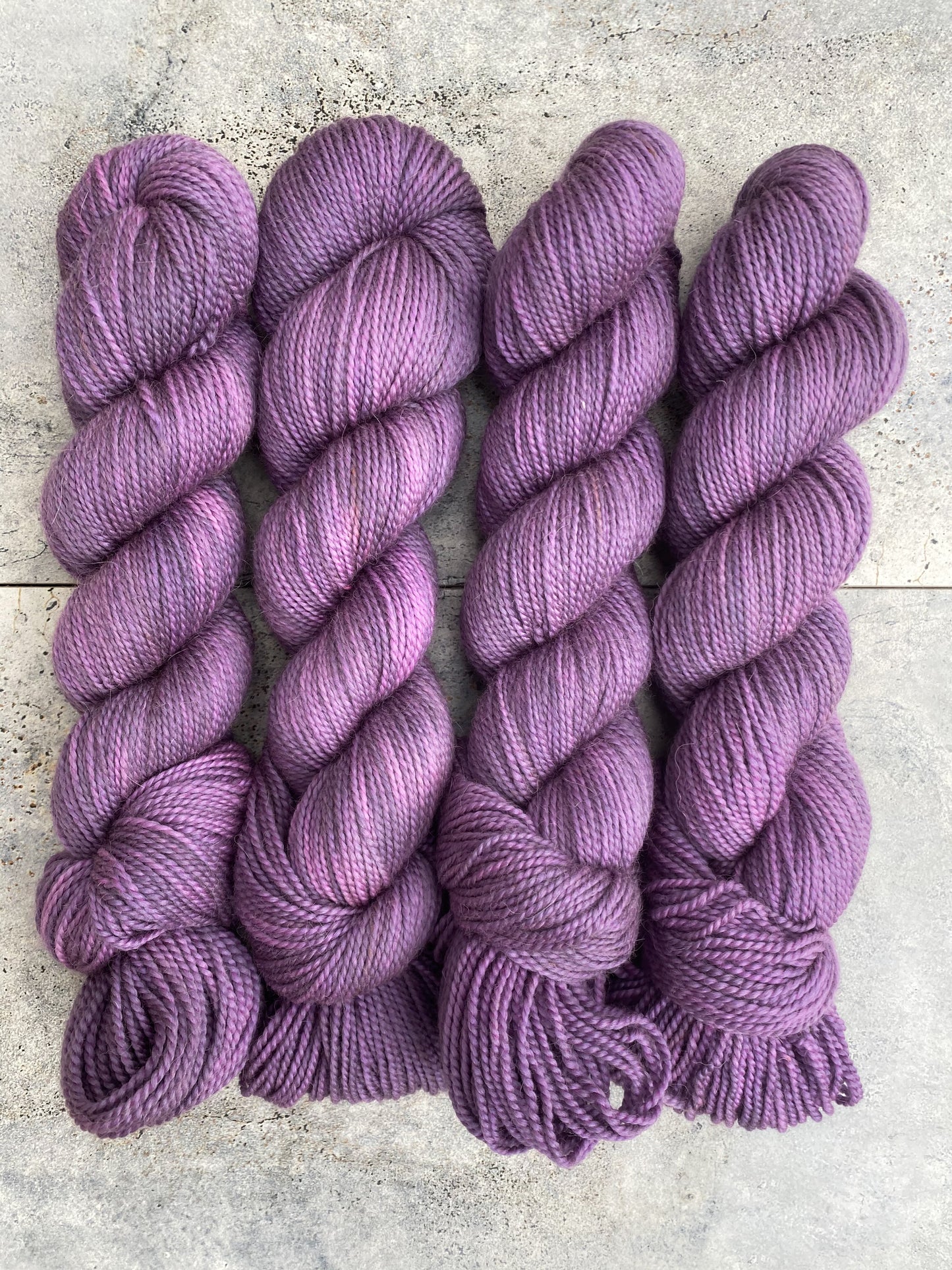 Lavandula on Mama Bear DK