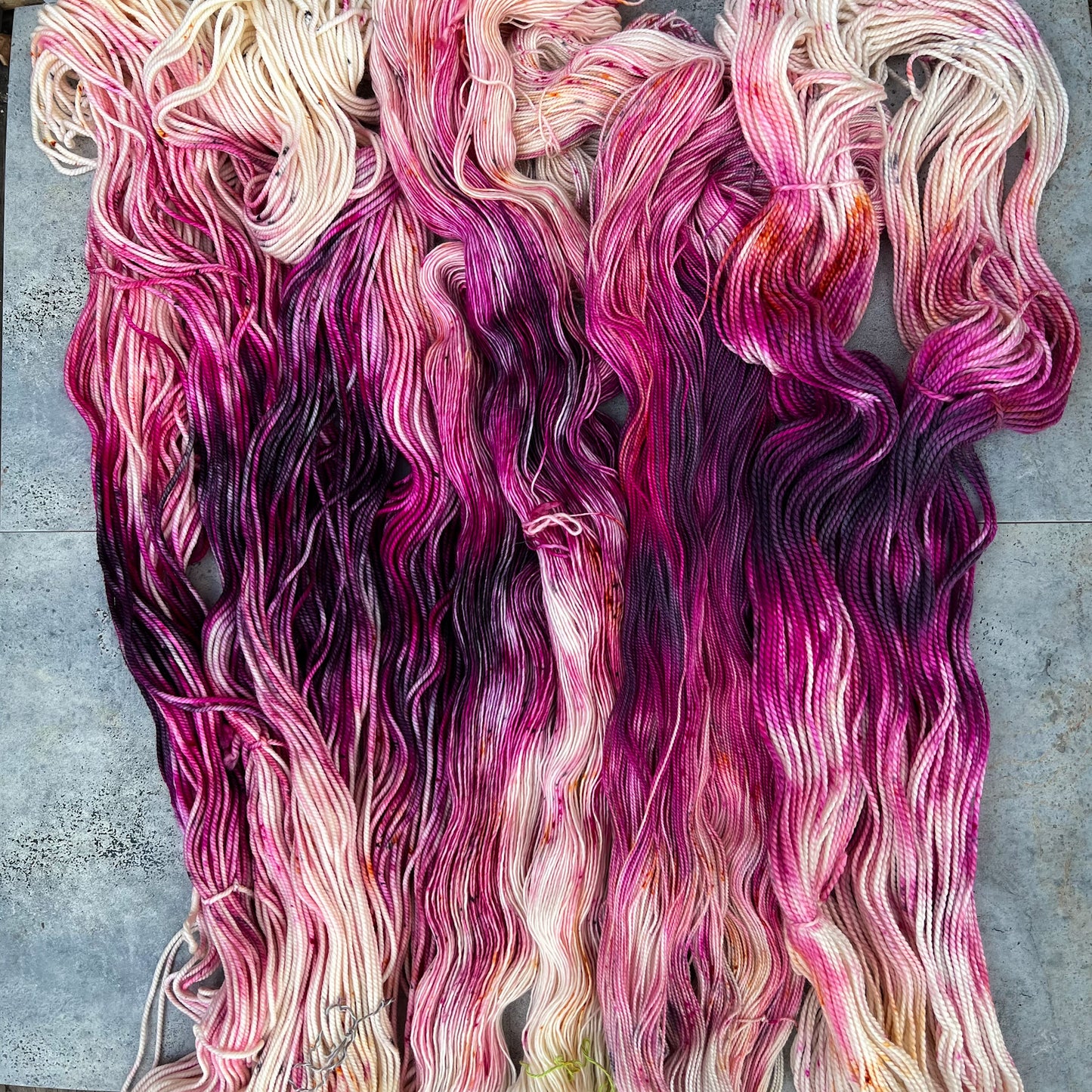 Magnolia on Big Brother (Aran)