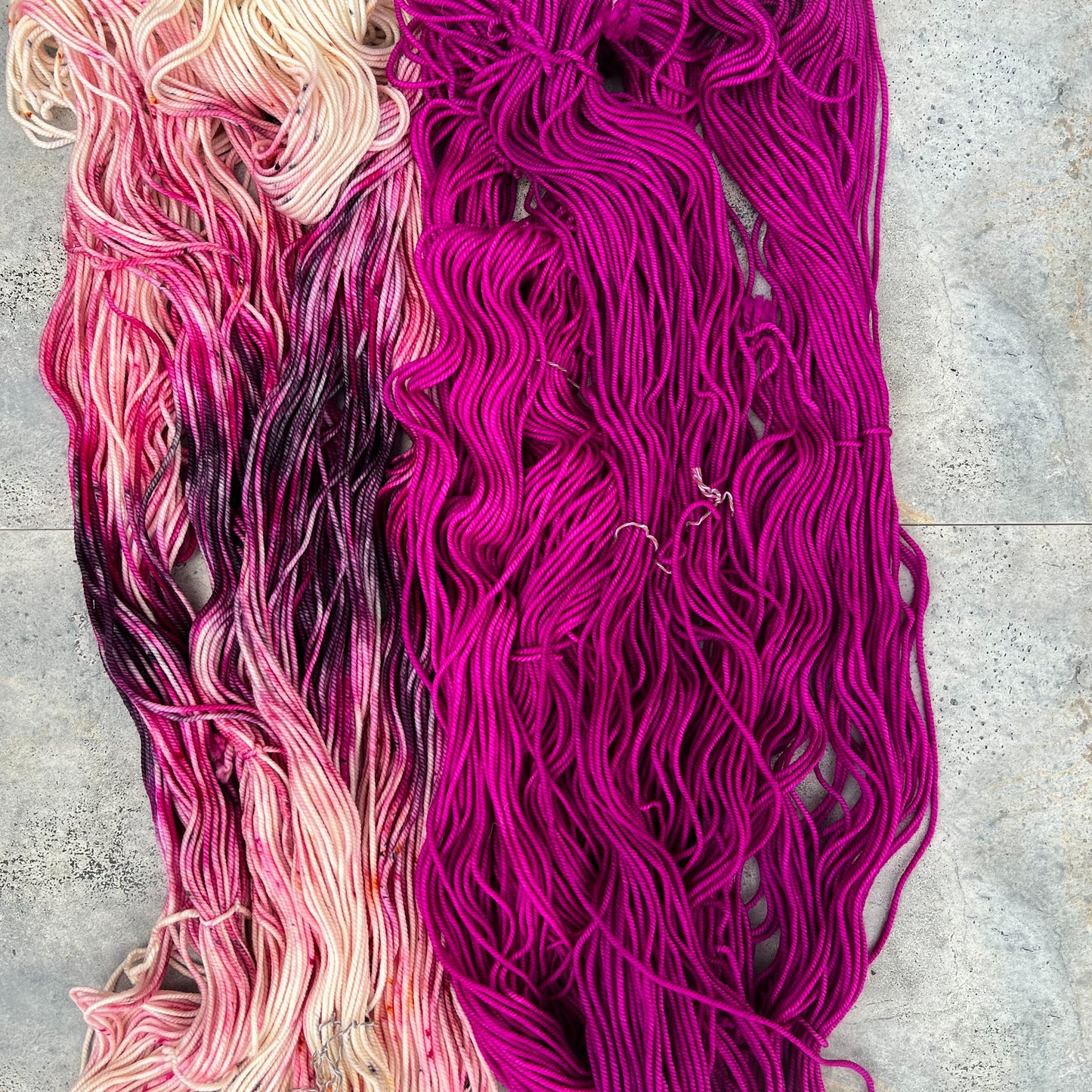 Magnolia on Mama Bear DK