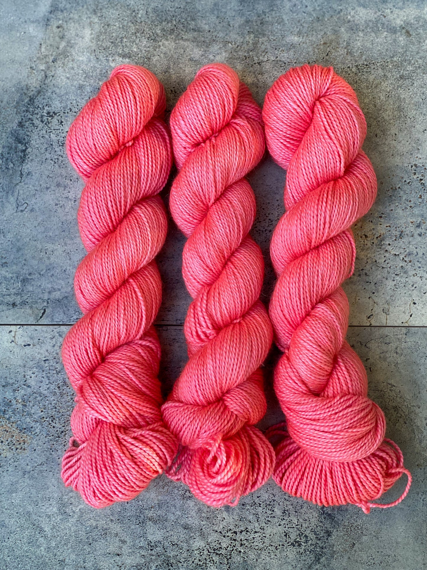 Paloma on Mama Bear DK