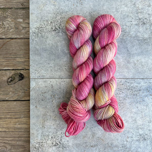 Begonia on Mama Bear DK